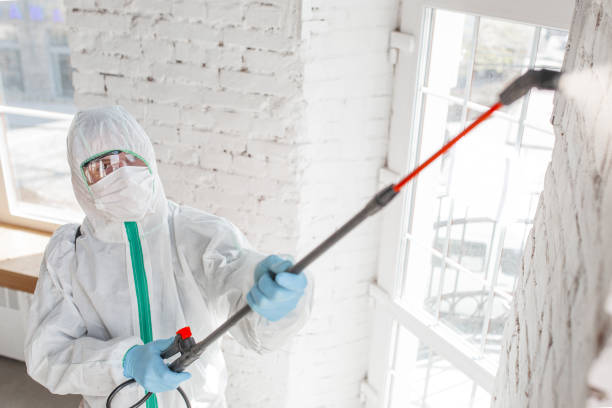 Best Mold Odor Removal Services  in Oakland, IA
