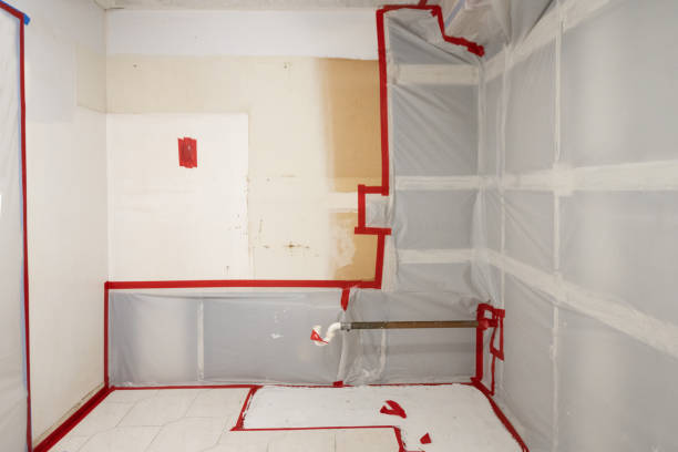 Best Mold Odor Removal Services  in Oakland, IA