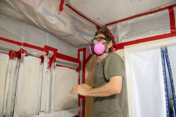 Best Environmental Consulting for Mold Prevention  in Oakland, IA