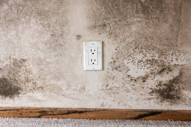 Best Indoor Air Quality Assessment  in Oakland, IA